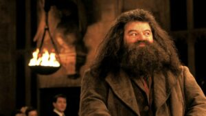 Parrucche con attaccatura invisibile - Robbie Coltrane